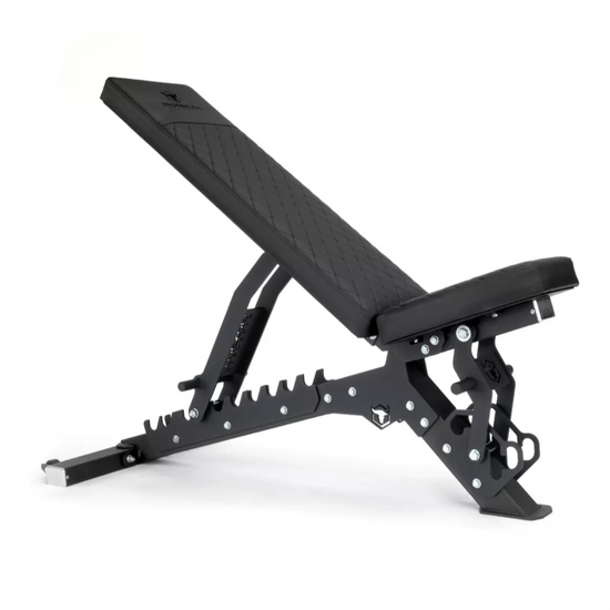 Banc ajustable AWB Ironbull - Body Gym équipements