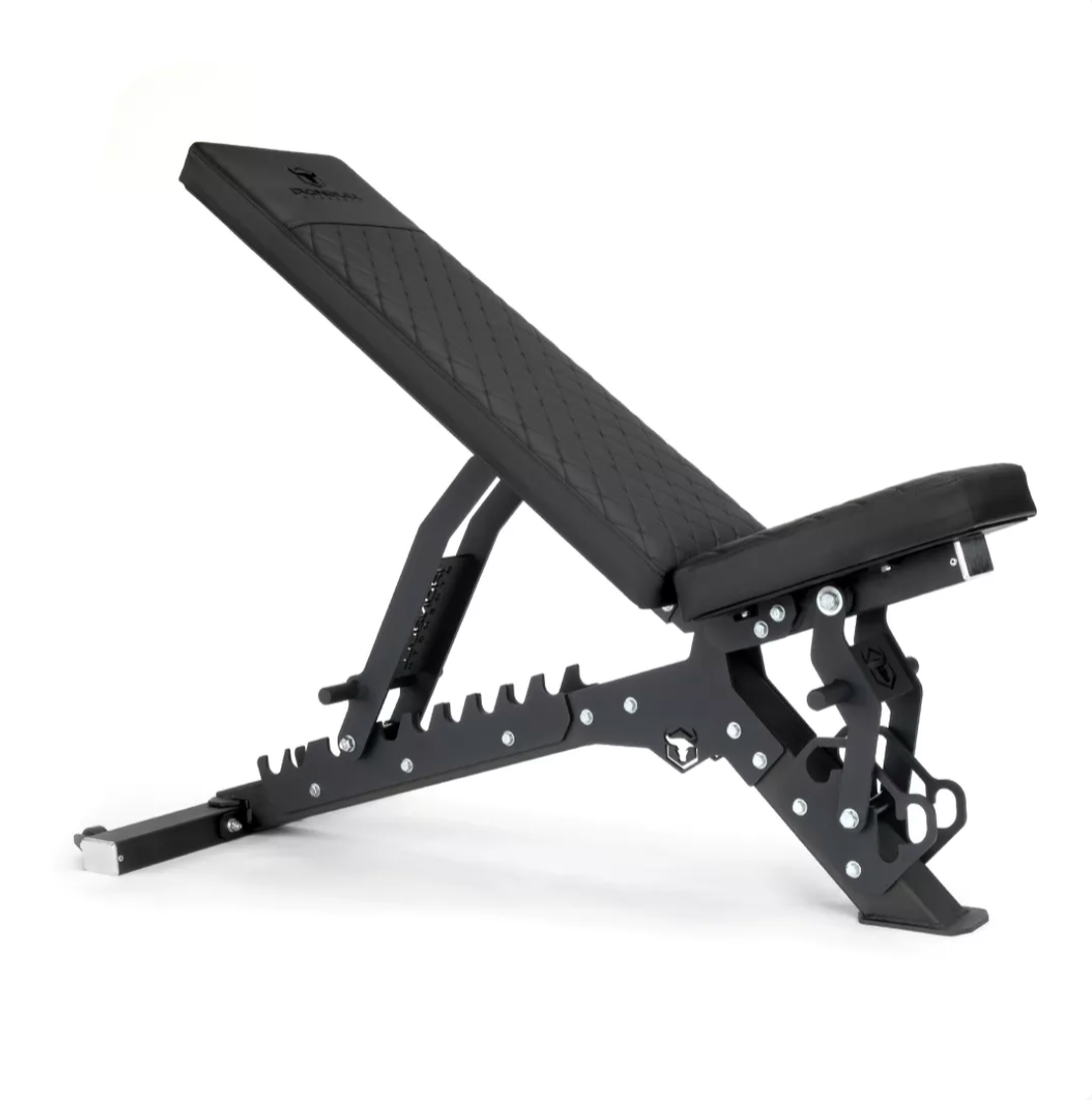 Banc ajustable AWB Ironbull - Body Gym équipements