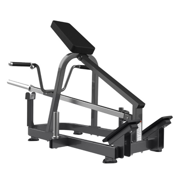 FW-2012 Lying T-bar row Realleader USA