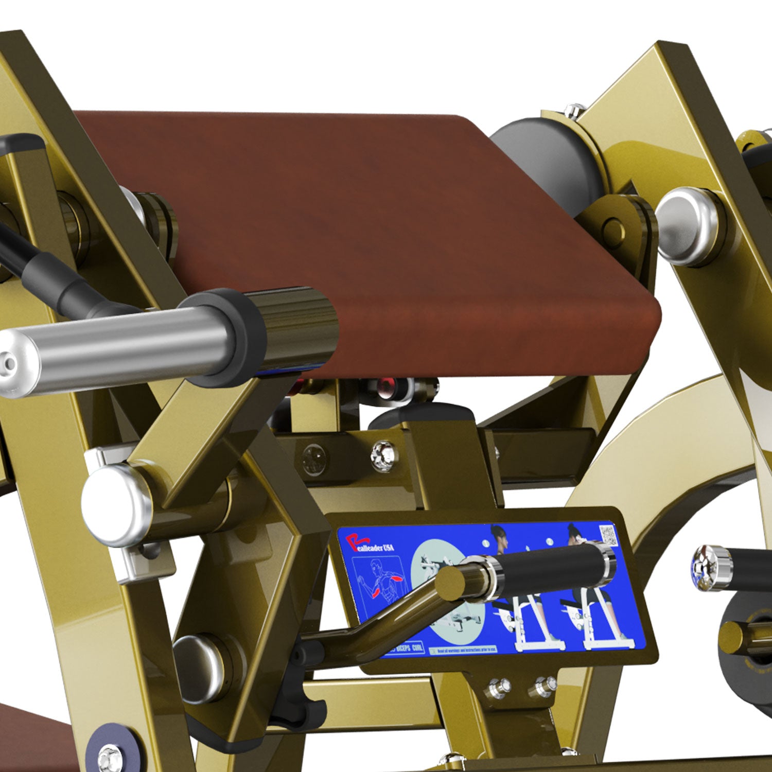 LD-1005 Biceps Curl Realleader USA - Body Gym équipements