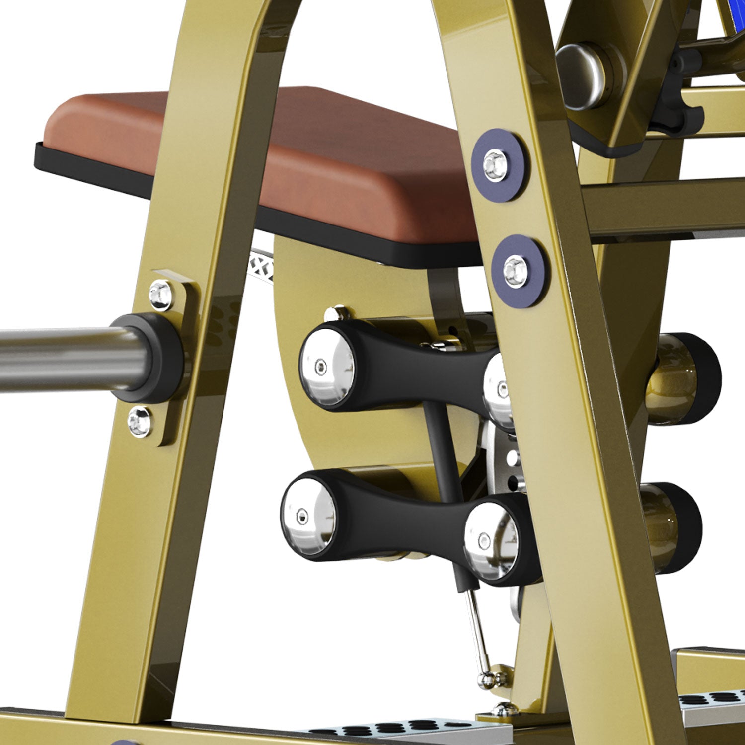 LD-1005 Biceps Curl Realleader USA - Body Gym équipements
