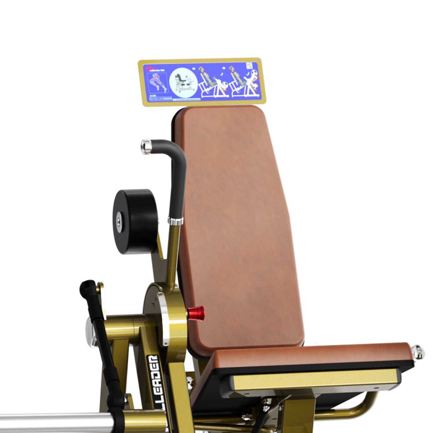 LD-2001 Seated Leg Extension Realleader USA - Body Gym équipements