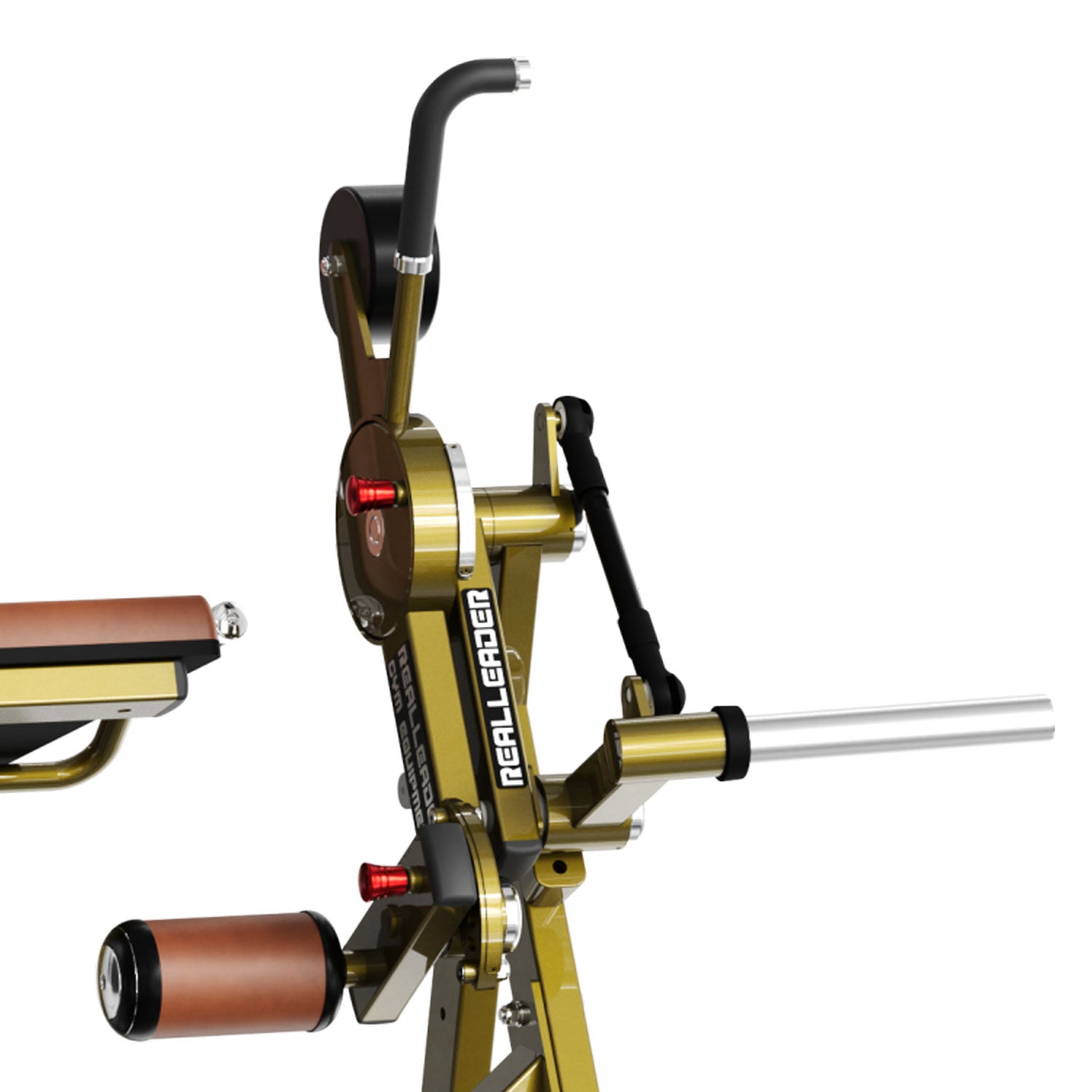 LD-2001 Seated Leg Extension Realleader USA - Body Gym équipements