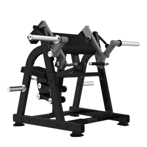 LD1005 Biceps Curl Realleader USA