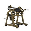 LD-1005 Biceps Curl Realleader USA - Body Gym équipements