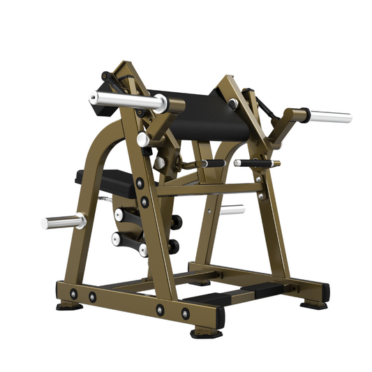 LD1005 Biceps Curl Realleader USA