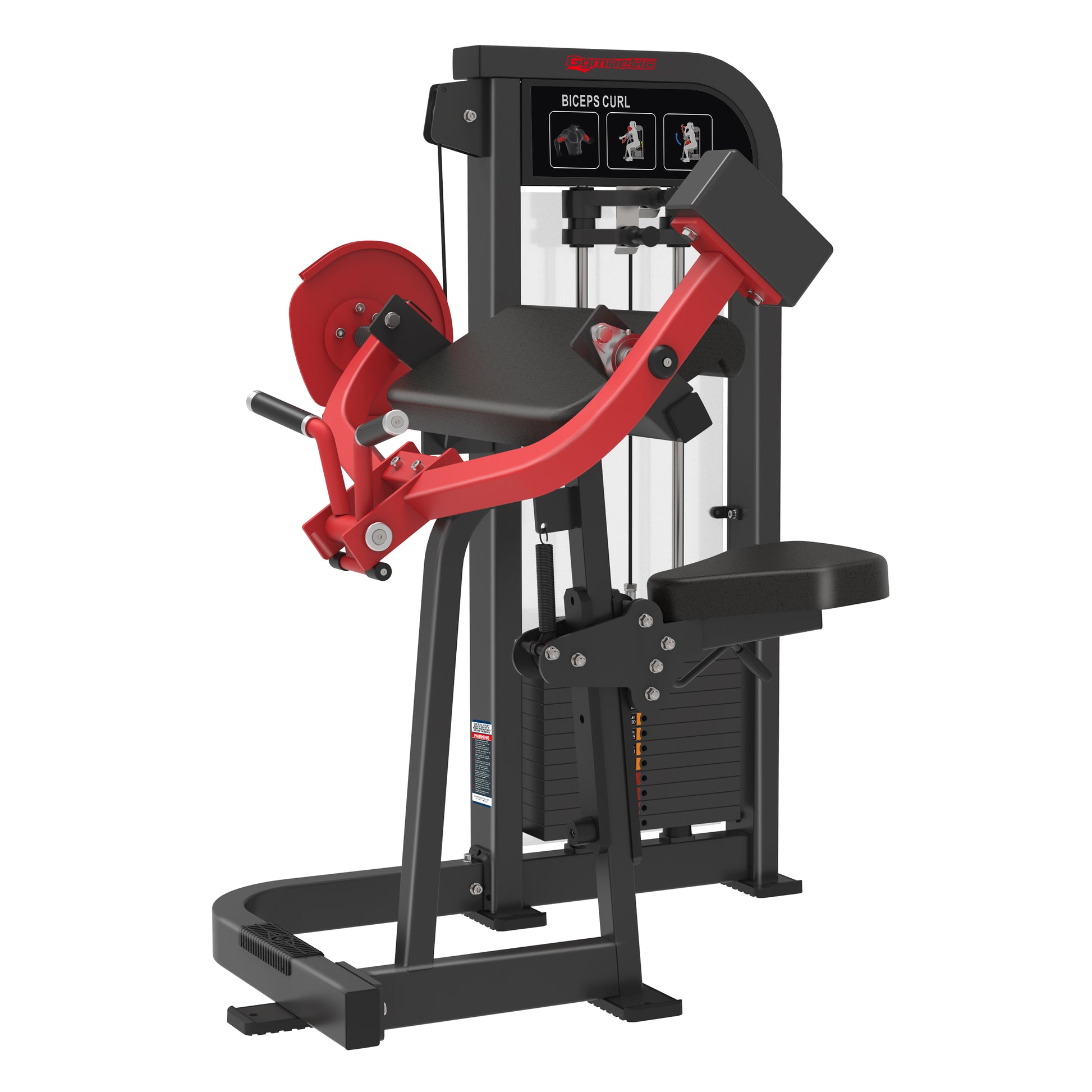 Bicep Curl