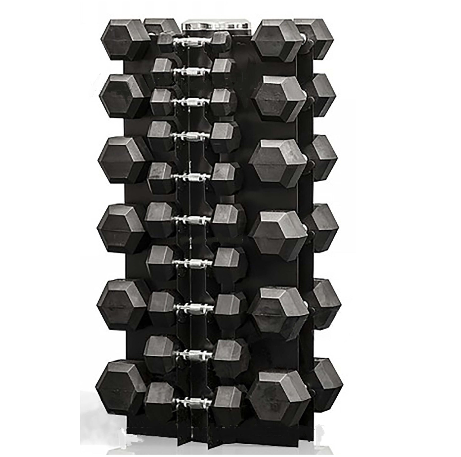 Support à poids hexagonaux 4 faces - Body Gym équipements