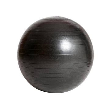 Ballon suisse 65 cm noir Gymnetic