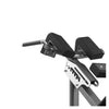 FW-1006 Hyperextension Realleader USA