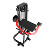 BGHS09 Biceps curl Gymnetic