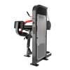 BGHS10 Triceps Extension Gymnetic