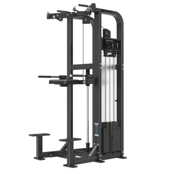BGHS11 Chin up / assisted dip Gymnetic