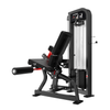 BGHS13 Leg Extension Gymnetic