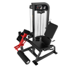 BGHS13 Leg Extension Gymnetic