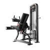 BGHS14 Seated Leg Curl Gymnetic