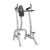 CF-3252 Abdominal and dip chair