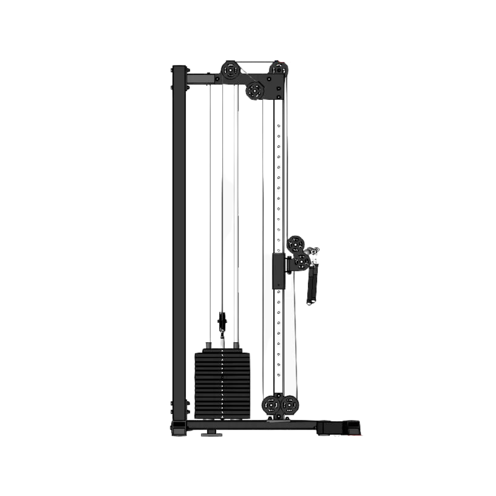 Life Fitness Poulie crantée pour vélo droit LC-9500HR (après SN 212727 Life Fitness Poulie crantée pour vélo droit LC-9500HR (après SN 212727