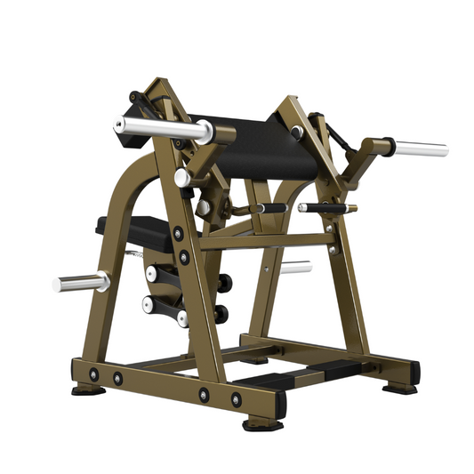LD-1005 Biceps Curl Realleader USA - Body Gym équipements