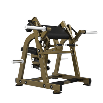 LD1005 Biceps Curl Realleader USA