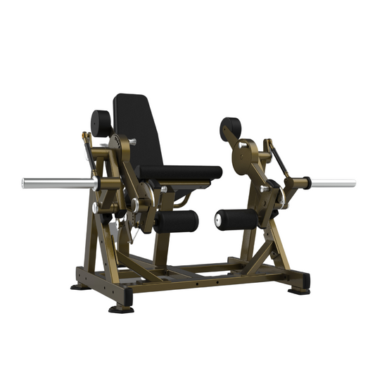LD-2001 Seated Leg Extension Realleader USA - Body Gym équipements