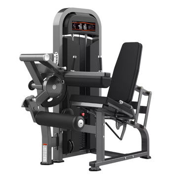 M2-1023 Seated leg curl Realleader USA