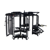 MC-7003 Motion Cage Hoist