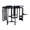 MC-7004 Motion Cage Hoist