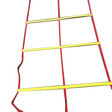 Double agility ladder 30'