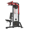 Peck Rear Deltoide